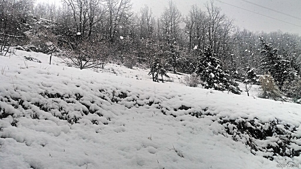 I ll Give You Some Snow From Italy General Discussion Propeciahelp