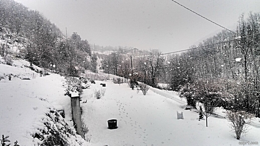 I ll Give You Some Snow From Italy General Discussion Propeciahelp